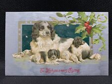 Antique Christmas Postcard - Springer Spaniel Dogs picture