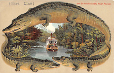 c.1908 Alligator Border Hart Line Steamboat on the Ocklawaha River FL post card picture