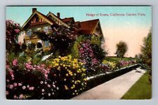 CA-California, Hedge Roses, Garden Vista, Vintage Postcard picture