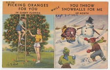 c1950s Florida Snowbird Humor Comic Oranges & Snowballs Winter Vintage Postcard picture