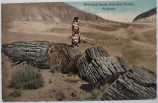 Vintage Petrified Forest Giant Arizona Postcard Native American Indian picture