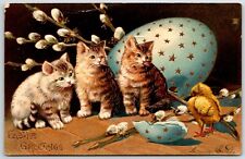 C.1907 Adorable Cats Kittens Chick Easter Egg Gilt Embossed Postcard picture