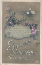 New Year Hand Colored RPPC EAS Rural Scene 1910  picture