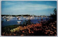 Wychmere Harbor Harwichport Cape Cod Massachusetts Sailboats Pier VNG Postcard picture