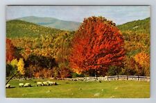 Wind Gap PA-Pennsylvania, General Scenic Greetings, The Poconos Vintage Postcard picture