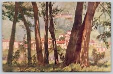 Locarno Switzerland~Lago Maggiore~Red Roofed Houses~1910 TUCK Postcard picture