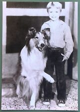 PAL, JON PROVOST, JAN CLAYTON LASSIE TV SERIES FRENCH ROOKIE CARD RARE picture
