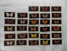 Lot of 28 Godfrey Phillips Cigarette Cards British Butterflies 1927 picture