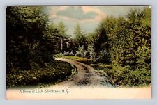 Loch Sheldrake NY-New York, Drive, Antique, Vintage c1909 Souvenir Postcard picture