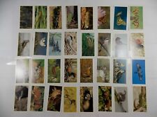 Grandee Cigar Cards Britain's Endangered Wildlife 1984 Complete Set 32 picture