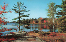 Combermere Ontario Canada, Autumn Foliage Colors Lake Scenic View, VTG Postcard picture