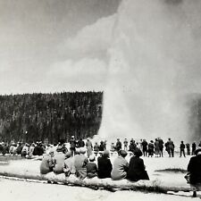Antique 1920s Old Faithful Geyser Sprays Tourists Stereoview Photo Card V2802 picture