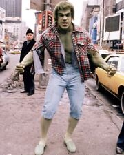 The Incredible Hulk Lou Ferrigno 24x36 Poster picture