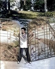 1957 Elvis Presley at Graceland Looking At the Newly Installed Gates 8x10 Photo picture