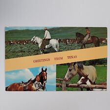Greetings From Texas TX Horses Cowboys Cowgirl Pony Vintage Postcard Banner picture