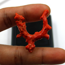 4.71g Natural Italian Red Coral Polished Crystal Branch Healing Mineral Specimen picture