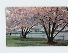 Postcard Jefferson Memorial Washington District of Columbia USA picture