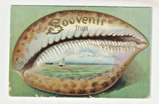 OLD EMBOSSED SHELL POSTCARD 