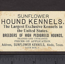 c 1900 Sunflower Hound Kennels Aledo TX Greyhound Bloodhound Hunting Dogs Card picture