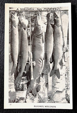 RPPC Postcard Bloomer WI A Nice Catch All Muskies Fishing Rod & Reel     B3 picture