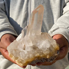 1070g Natural Clear White Quartz Crystal Cluster Rough Mineral Specimen Healing picture