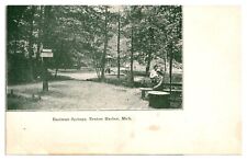 Antique Eastman Springs, Benton Harbor, MI Postcard picture