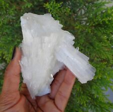 Apophyllite Crystals On Scolecite Formation Minerals Specimen #H18 picture