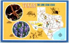 Postcard - Texas - The Lone Star State picture