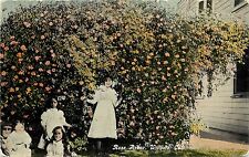 c1910 Printed Postcard; Children & Rose Arbor, Willows CA Glenn County Unposted picture