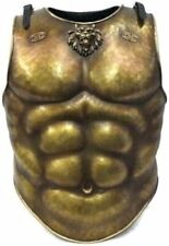 MEDIEVAL ROMAN GREEK MUSCLE JACKET ARMOR MUSCLE CUIRASS BREASTPLATE picture