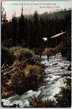 Chamber Cottages Camps Banks Spearfish Creek Black Hills South Dakota Postcard picture