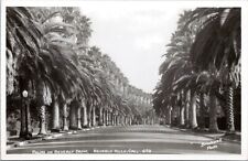 RPPC Palm Trees, Beverly Drive, Beverly Hills California- c1940s Photo Postcard picture