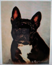 New Brindle French Bulldog Head Study 12 Blank Note Cards Artist Ruth Maystead picture