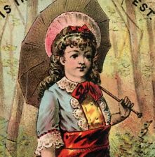 1880s-90s Muzzy's Sun Gloss & Corn Starch Elkhart Starch Co. Lovely Girl P205 picture