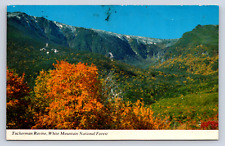 Vintage Postcard Tuckerman Ravine White Mountain National Forest picture