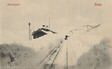 Postcard Norway Hallingskeid Station Bergen Line c1908 (pre-snow tunnel) MINT picture