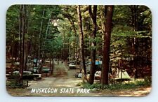 Postcard MI Muskegon State Park Vtg View c1960s Old Cars J12 picture