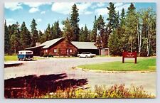 c1960s~Jenny Lake Lodge~Grand Teton Wyoming WY~VW Bus~Spring Lake~VTG Postcard picture