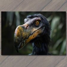 POSTCARD Dodo Bird Extinct Endangered Animal Wild Habitat Flightless Species Fun picture