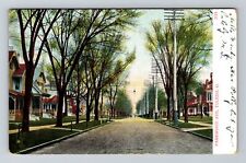 Toledo OH-Ohio, Parkwood Ave, Scenic, Trees, Houses, c1910, Vintage Postcard picture