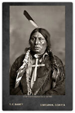 CHIEF GALL Hunkpapa Lakota ca.1880 Vintage Photograph Cabinet Card CDV RP picture