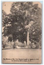 1915 Miniature Of Bet First Elephant Statue Somers New York NY Antique Postcard picture