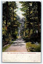 Saugatuck Michigan Postcard Lake Shore Drive Douglas Road 1905 Vintage Antique picture