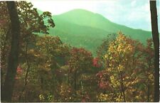 Beautiful Fall Color Scene of Mt. Pisgah, Western North Carolina Postcard picture