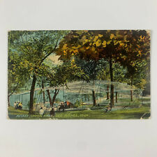 Postcard Iowa Des Moines IA Union Park Aviary 1910s Unposted Divided Back picture