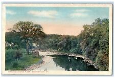 c1910's Ottauquechee River Trees Scene Woodstock Vermont VT Unposted Postcard picture