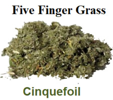 Five Finger Grass Herb (Cinquefoil) 1oz - Money, Love, Health, Wisdom, and Power picture