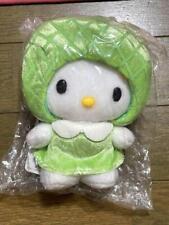 Sanrio Hello Kitty Gotochi Local Mascot Plush Melon Friuts Hokkaido Japan picture