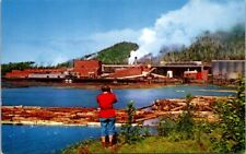 Vintage Postcard Pulp Mill Ketchikan Alaska AK                              N439 picture