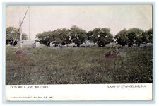 1913 Old Well and Willows Land of Evangeline Nova Scotia Canada Postcard picture